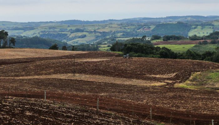 Foto: Geraldo Bubniak/AEN Produtores da região Sudoeste entram no vazio sanitário da soja, que vai até setembro